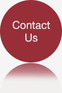 Professionals_Contact_Us_button